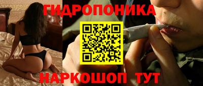 PSILOCYBIN Бугуруслан