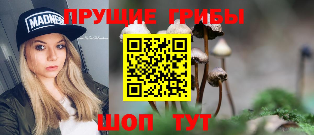 Псилоцибиновые грибы GOLDEN TEACHER  Вход с VPN  купить   Рассказово 